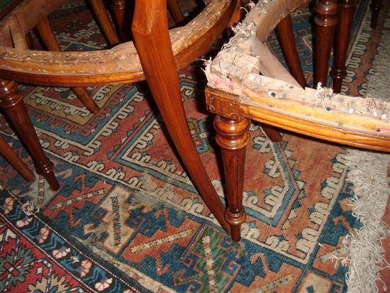 Red & blue Persian rug